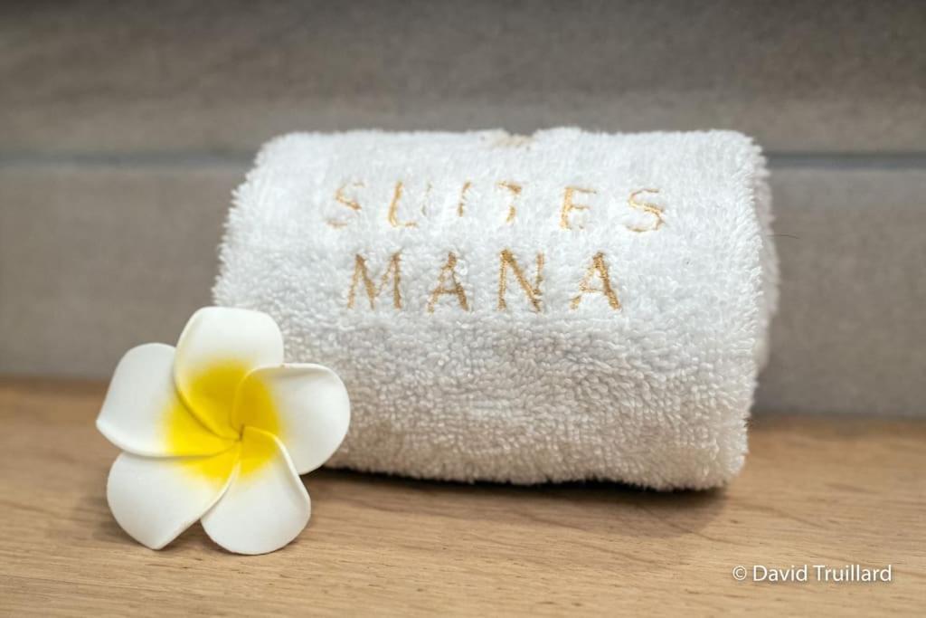 Suites Mana - Matahina Avec Vue Superbe Sur La Place Ducale Et Parking Prive Inclus Charleville-Mézières Dış mekan fotoğraf